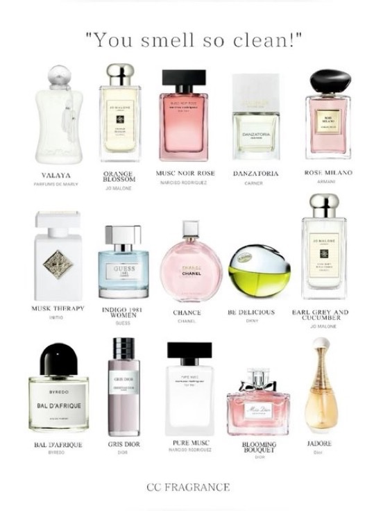 invis4yo's tweet image. that girl perfumes