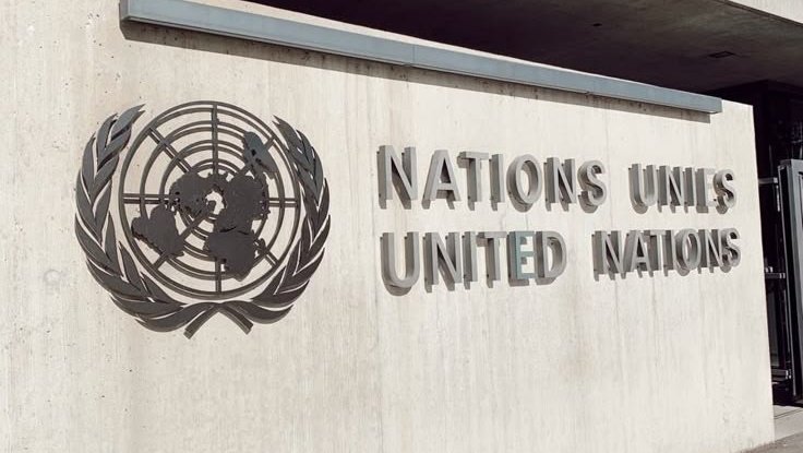 bloom 🥯 tweet media