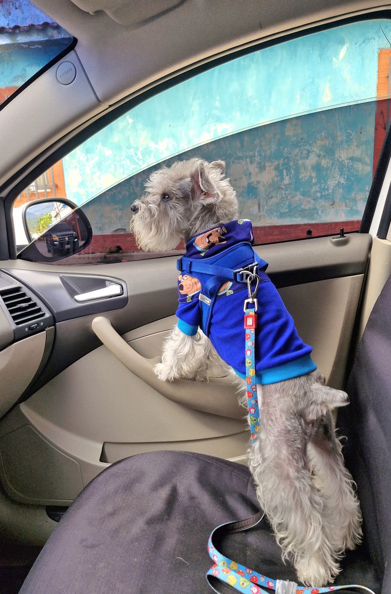 Mervin Maldonado tweet media