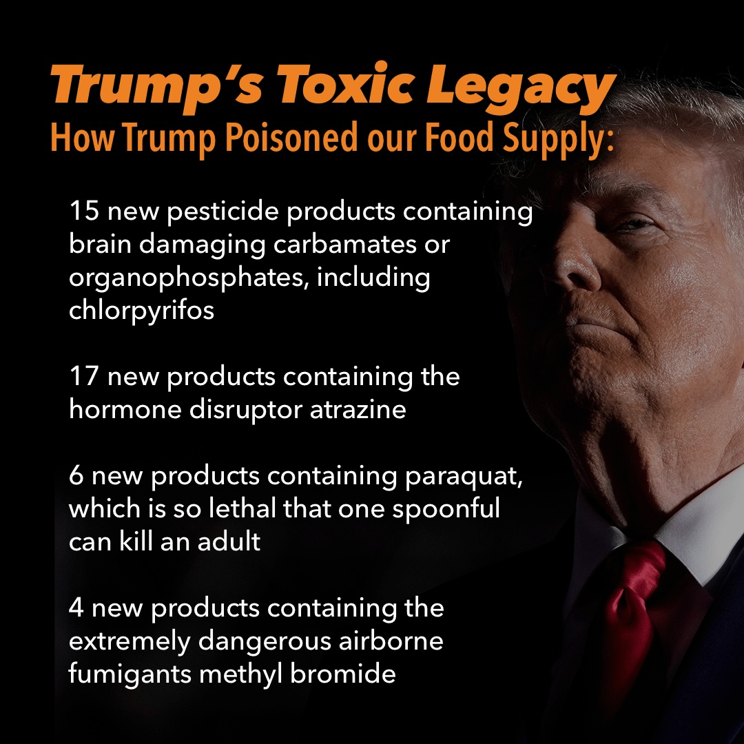 Kari Hamerschlag (@karihamerschlag) on Twitter photo <a href="/RobertKennedyJr/">Robert F. Kennedy Jr</a> <a href="/realDonaldTrump/">Donald J. Trump</a> <a href="/TulsiGabbard/">Tulsi Gabbard šŗ</a> How can you all say with a straight face that Trump is going to defy his largest chemical industry donors & clean up our food system? While President, Trump approved over 100 highly toxic pesticide products, many with ingredients banned in other countries. <a href="/RobertKennedyJr/">Robert F. Kennedy Jr</a> <a href="/realDonaldTrump/">Donald J. Trump</a> <a href="/TulsiGabbard/">Tulsi Gabbard šŗ</a> How can you all say with a straight face that Trump is going to defy his largest chemical industry donors & clean up our food system? While President, Trump approved over 100 highly toxic pesticide products, many with ingredients banned in other countries.