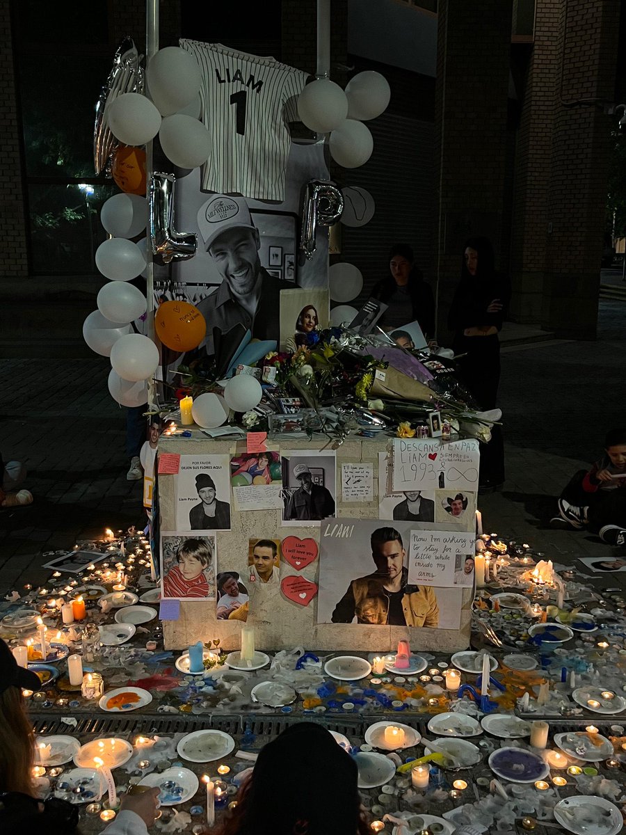 Ci è stata tolta la gioia di ascoltare le loro canzoni con spensieratezza, ci è stato tolto il nostro posto sicuro, perché da ora in poi tutte le volte che sentiremo la voce di Liam ci si stringerà solamente il cuore e le lacrime cadranno dagli occhi. Ci è stato tolto tutto