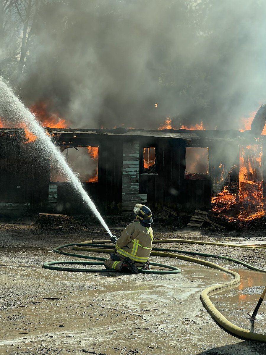 MomminwithEndo tweet media