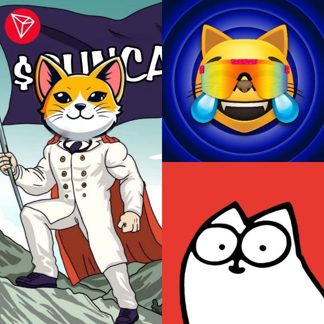 suncatrx's tweet photo. @HTX_Global The Suncat is ready to conquer! Will you join the cats in this epic battle on HTX. Letโs show them the true power of Suncat! #HTXCatsVsDogs #Suncat #HTXCAT @MogCoinEth @SimonsCatMeme https://t.co/8gGJJkKy07