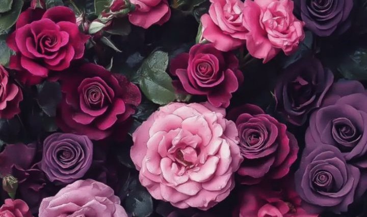 اللَّهُمّ اغفِر لنَـا ذنُوبنَـا و اسرَافنَا فِـي امرِنا
وَ ارزقنا جَنّتك وَ اجِرنا مِن عَذابَك 💜🌸 ،،
#ساعه_استجابه ♡••
#ابنة_الهدوء ♡••