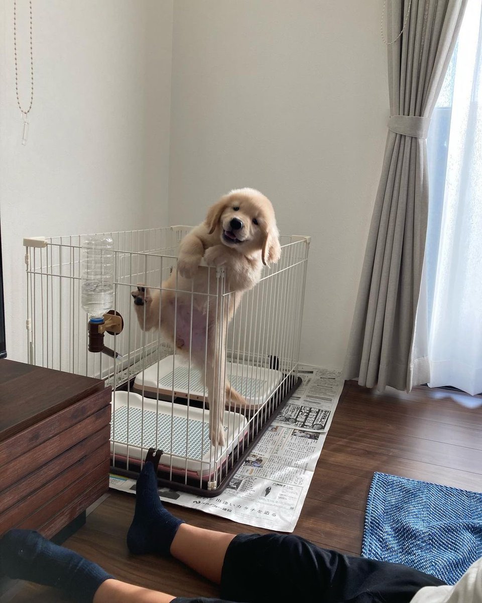 ㅤ