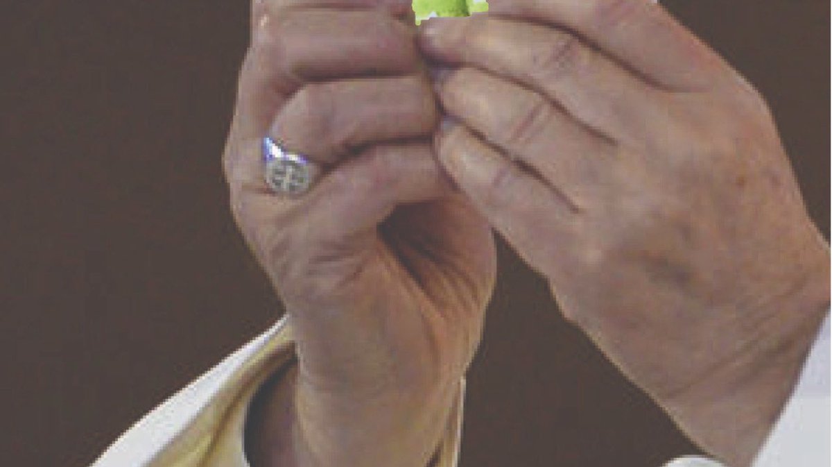 ご/いごいすぅー tweet media