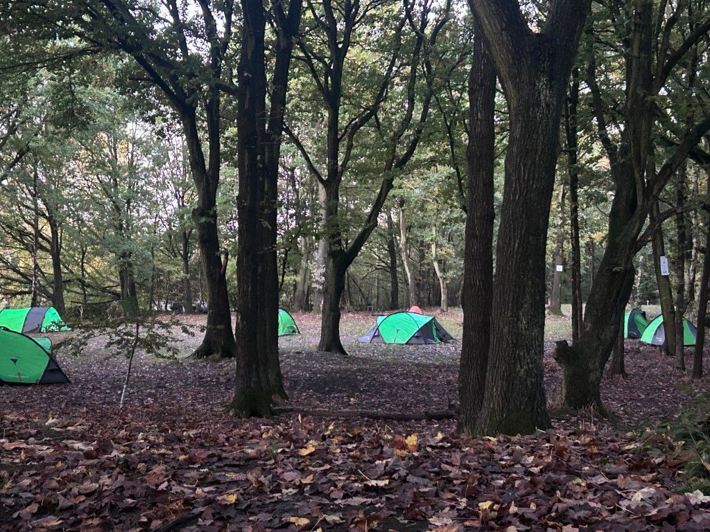 Rawmarsh School tweet media