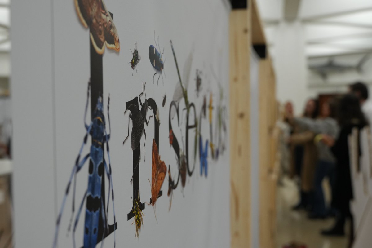 museoCCNN_unav's tweet photo. Esta tarde hemos inaugurado la exposición "Insectos. Todo lo que cuentan", en la que los visitantes podrán explorar de una forma amena la biodiversidad, a través de paneles informativos, proyecciones, terrarios, lupas, cajas de insectos y talleres para todos los públicos. https://t.co/Ws3kBUsjz1