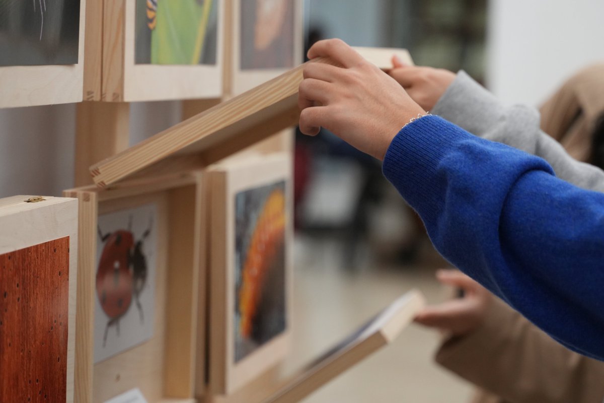 museoCCNN_unav's tweet photo. Esta tarde hemos inaugurado la exposición "Insectos. Todo lo que cuentan", en la que los visitantes podrán explorar de una forma amena la biodiversidad, a través de paneles informativos, proyecciones, terrarios, lupas, cajas de insectos y talleres para todos los públicos. https://t.co/Ws3kBUsjz1