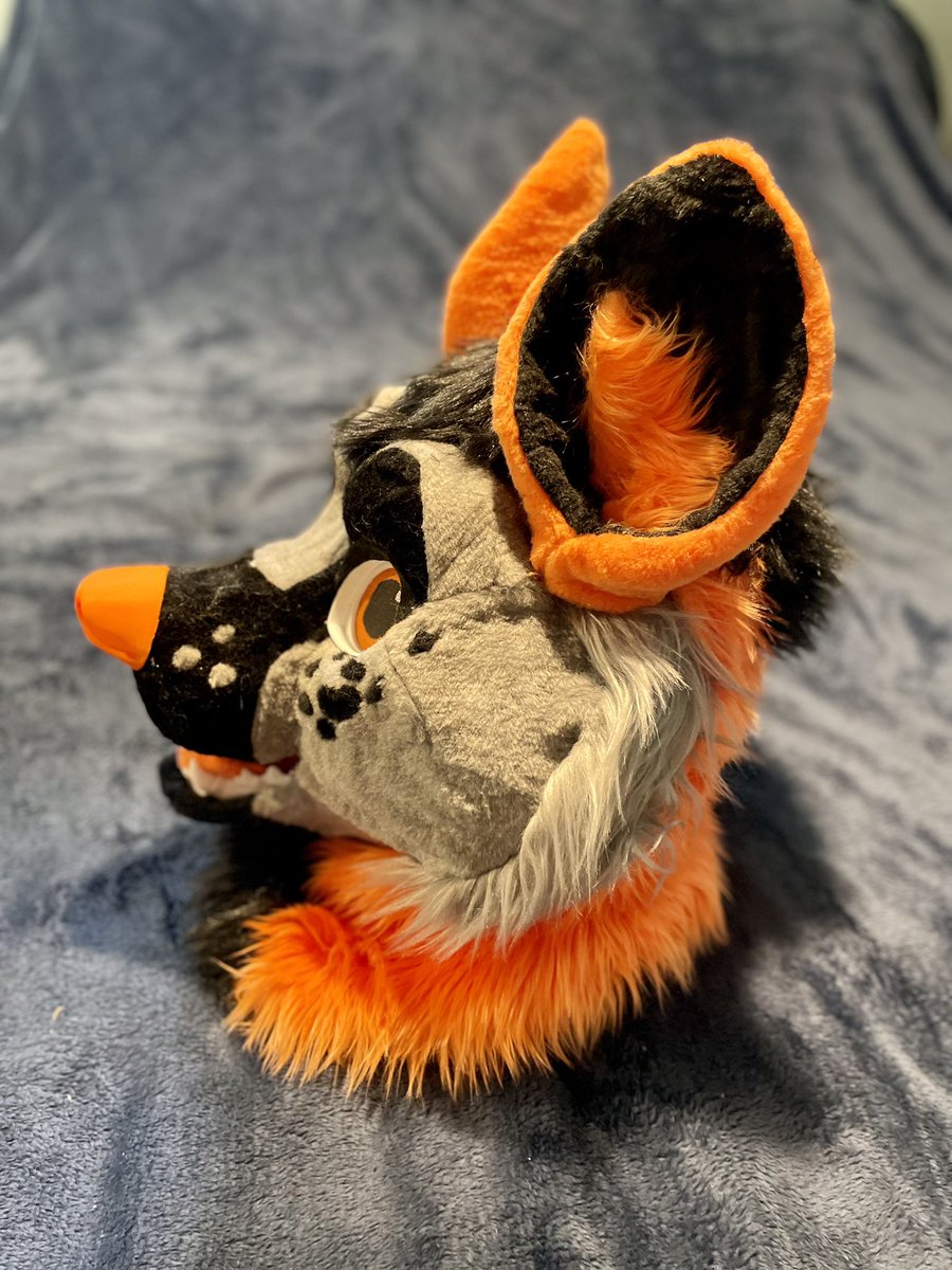 therianstudio's tweet photo. https://t.co/XmnwrXIAr4