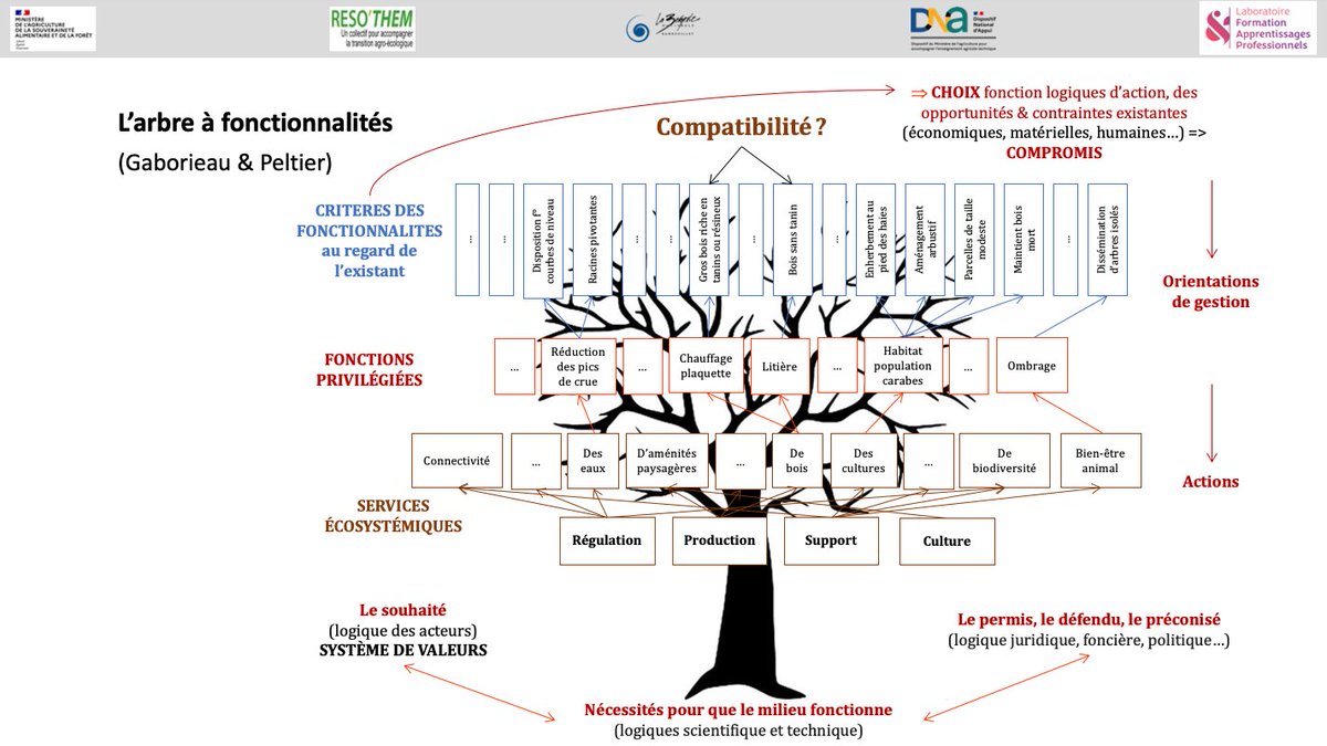 Cpeltiered's tweet photo. Rappel ou apport de quelques outils théoriques-pratiques des sciences de l'éducation et de la formation pour enseigner-apprendre la haie (haie et durabilité, arbre à fonctionnalités, situation-problème, clé de conception d'une séquence pédagogique...) https://t.co/qshqTbVH5L