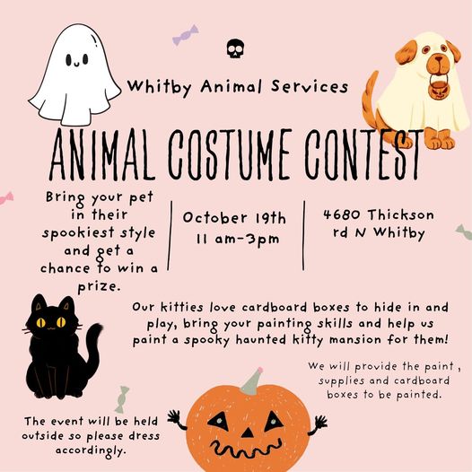 Looking for something fun to do this weekend? Check out this adorably fun Halloween event at Whitby Animal Services! 🎃
#whitbyontario #townofwhitby #whitbyevents #brooklinontario