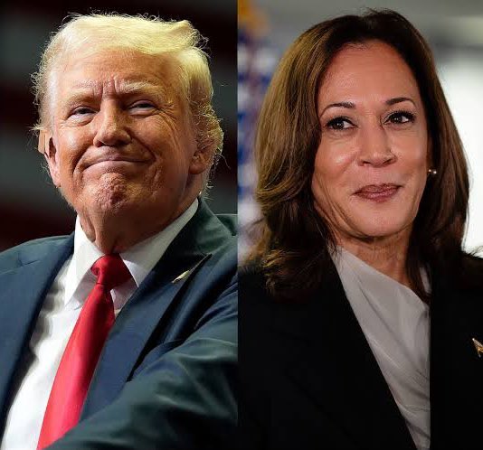 Sachin Jose tweet media