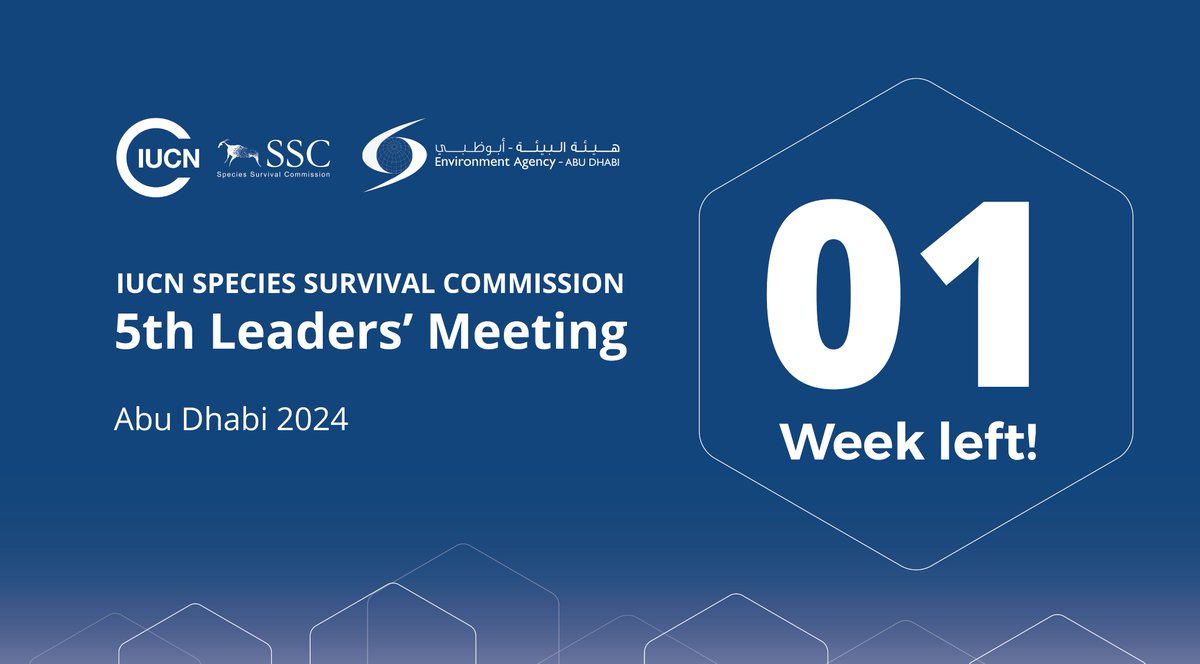 IUCNssc's tweet image. More than 100 sessions to advance conservation and address the environmental crisis. 🔥 1 week until the 5th IUCN SSC Leaders' Meeting! 🦎🌿 Conservation in action! #SSCLeadersMeeting2024 #WeAreSSC #ConservationWorks #SpeciesConservation