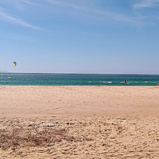 OutTarifa's tweet photo. Thermal wind &amp; waves! 15-18 knots already! 📷📷
Viento térmico y olas! 15-18 nudos ya! 📷📷 https://t.co/2rLp0HCl2M
