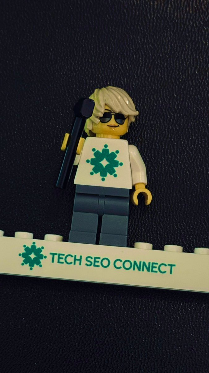 Lily Ray 😏 tweet media