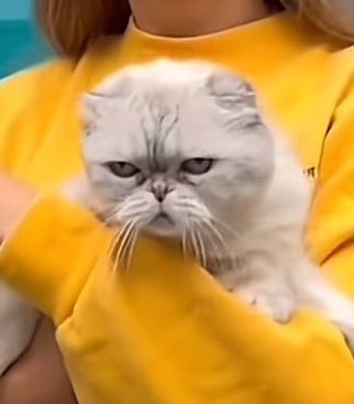 rwylmolly's tweet image. shes mad as hell that shes in florida