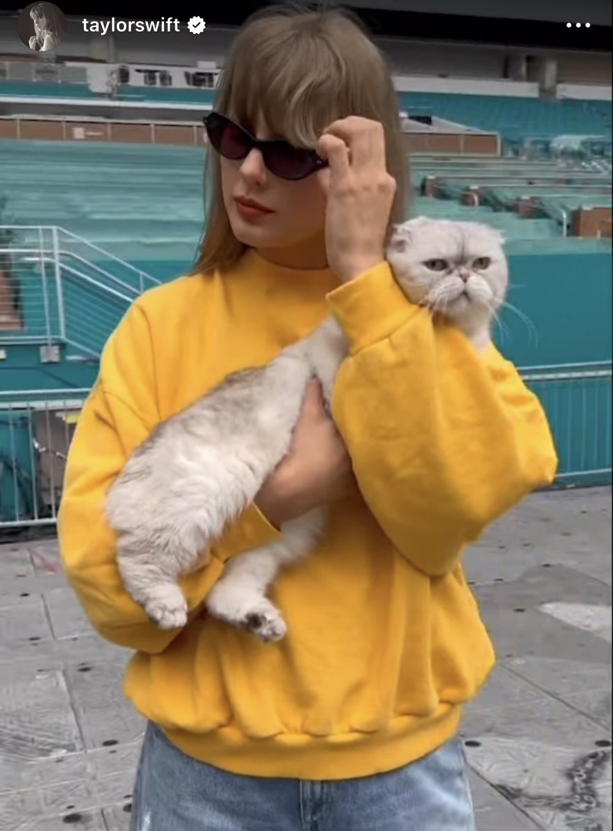 swiftalert_13's tweet photo. My Halloween costume just dropped. https://t.co/ikEUcBVAmu