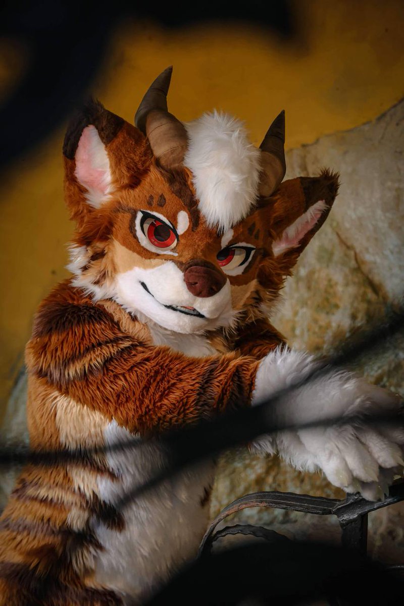 Are you peeking at me there?

photo by <a href="/XiaoFei0227/">Fei 小白獅-小飛</a> 
#FursuitFriday