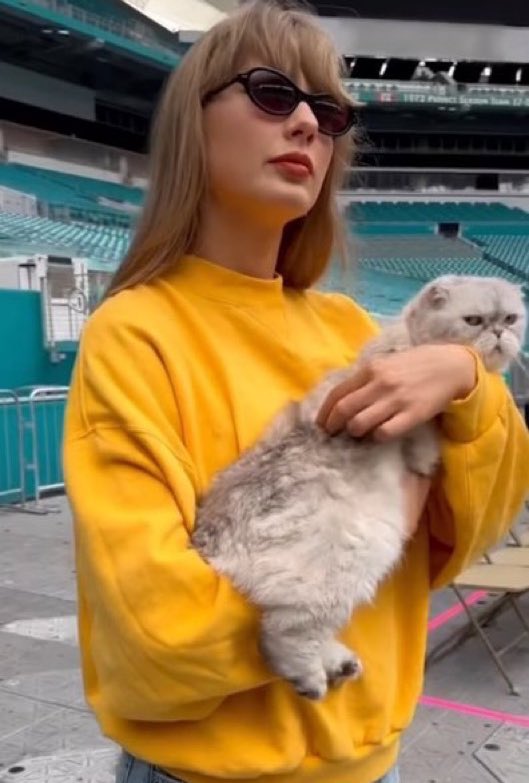 SwiftNYC's tweet photo. BACK IN THE OFFICE #MiamiTSTheErasTour https://t.co/2lvYQSF34f