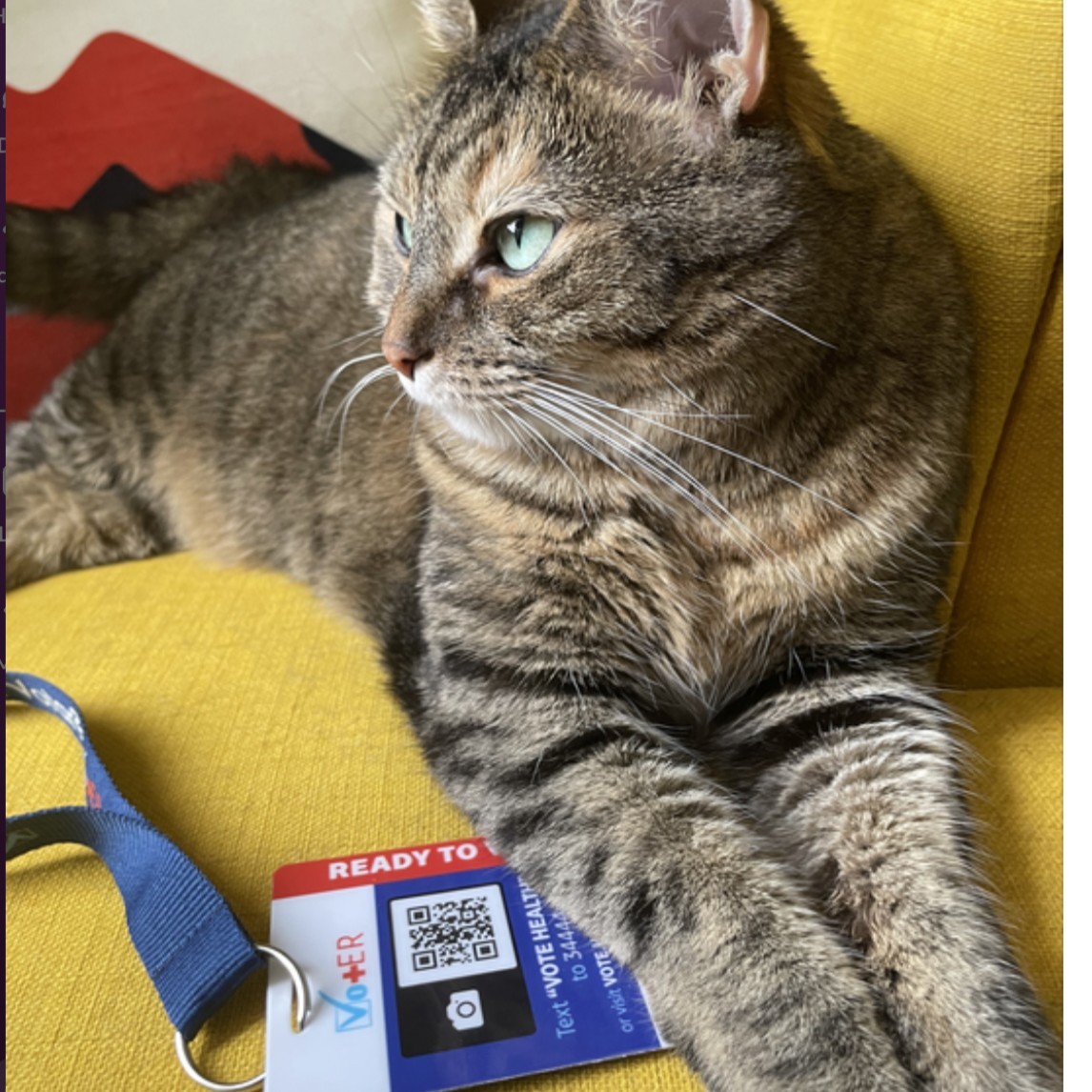Vot_ER_org's tweet photo. Meet Winnie, our paw-some voting ambassador! Always ready (post nap, of course) to rally us in shaping our community's future. Join Winnie, check your registration and be prepared for elections! Do you follow her lead? 🐾 

https://t.co/9aqnDYqY7y 

 #VotER #ReadyToVote https://t.co/TdzxuHQYg5