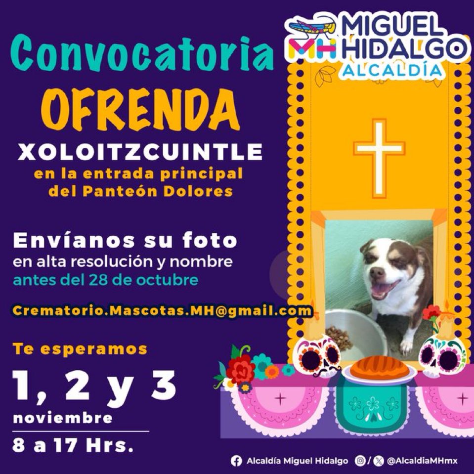 Explorando Miguel Hidalgo tweet media