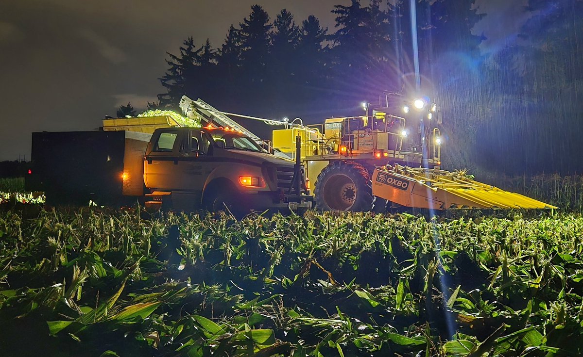 blaramie4955's tweet photo. Night service!!!! ๐งฐ๐ง๐จ๐ช #SweetCorn2024 #Oxbo8530 #F650 #OxboInternational #OxboIsAg #Nortera #Niblets ๐ฝ๐ฝ๐ฝ London, ON ๐จ๐ฆ๐จ๐ฆ https://t.co/pe3AJnP8g5