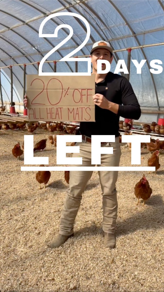 _HenGear_'s tweet photo. Two days left on our HeatMat Sale! Dont miss out! Order yours at https://t.co/6PfseQiz5Z!

#chickens #rolloutnestbox #backyardchickens #pasturepoultry #homesteading #regenerativefarming #chickencoop #chickennestbox #regenerativefarming #chickencoopdoor #portablechickencoop https://t.co/xDvziZUCeu