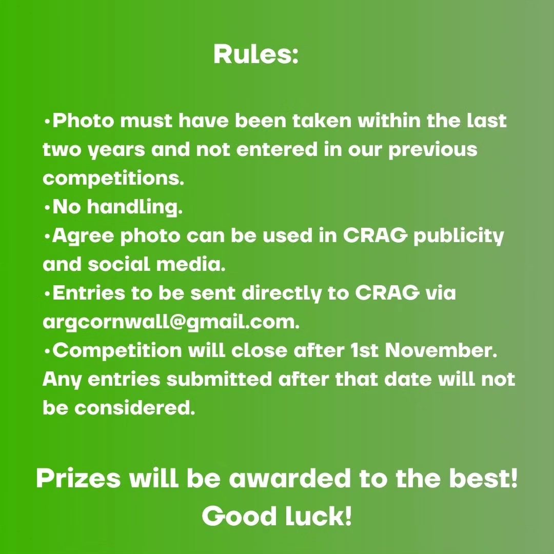 CRAG tweet media