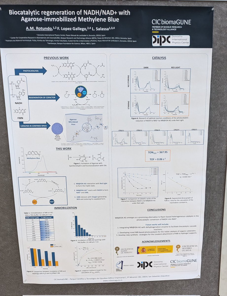 Rotundo Alfredo Manuel tweet media