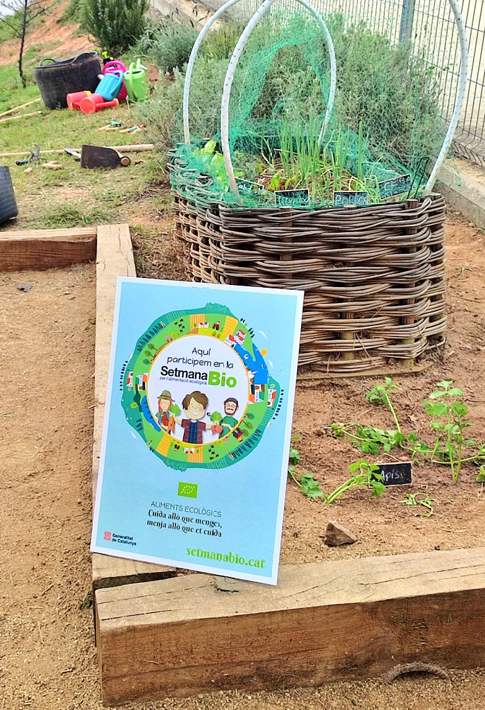 Èxit de participació a les Portes Obertes dels horts de l'escola.
Els infants de 5è han gaudit explicant la seva feina a totes les famílies visitants. Promovem l'alimentació ecològica!  #setmanabio24 <a href="/AlimentacioEco/">Producció Ecològica</a> <a href="/educaciocat/">Educació</a> <a href="/agriculturacat/">Agricultura</a> <a href="/Montgat/">Montgat</a>