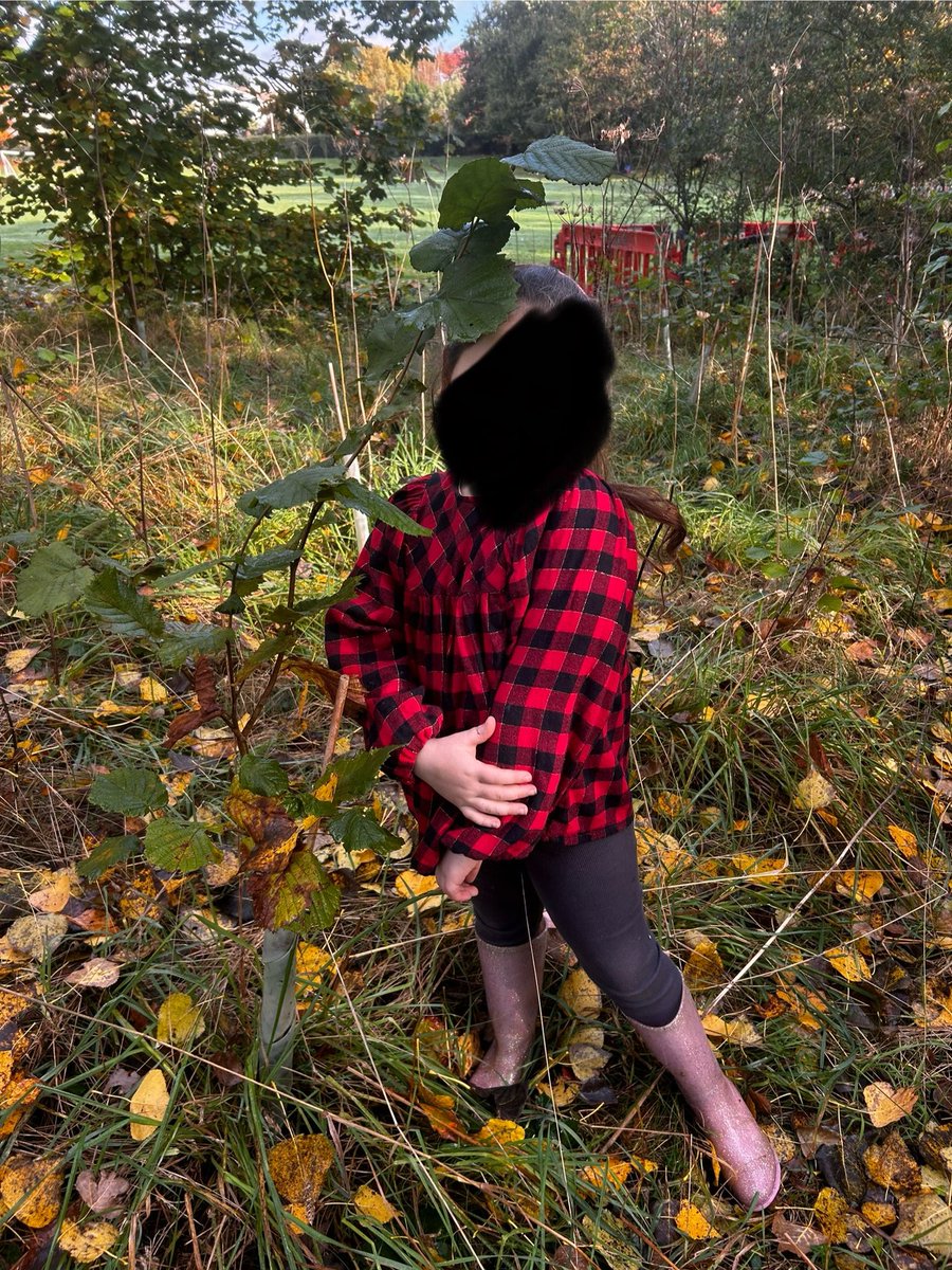 After losing lots of our trees due to disease, several years ago, we planted lots of trees to replace them. They have grown well, and are finally taller than our children! <a href="/TreeCouncil/">The Tree Council</a> <a href="/EcoSchoolsWales/">Eco-Schools Wales</a> <a href="/CambiumSus/">Cambium Sustainable</a> @GoytreFawr