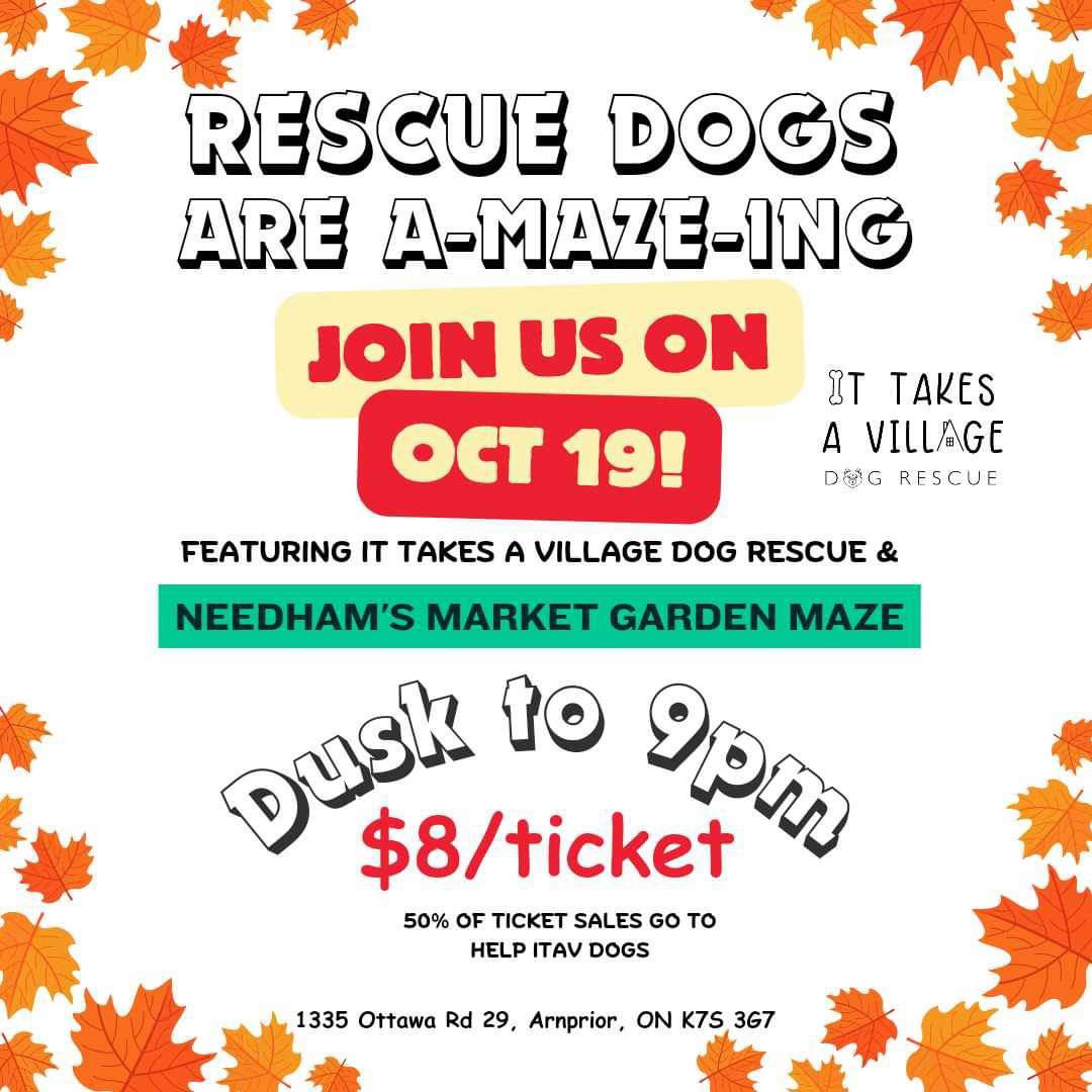 pepperchamp's tweet photo. #ittakesavillagedogrescue https://t.co/W8gQ7dmcNS