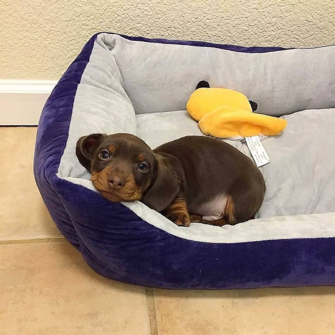 salsichinhas's tweet photo. A plenitude no olhar de quem não tem nenhuma conta pra pagar https://t.co/wXKpmDLiAK