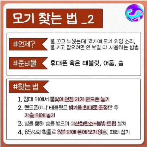 감자 🥔 tweet media