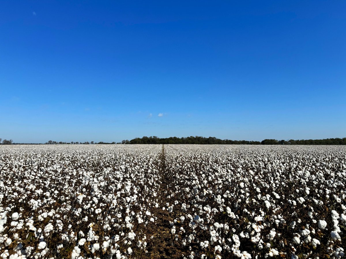 Activated Carbon is doing more with less! Increasing yields and profits in challenging times.