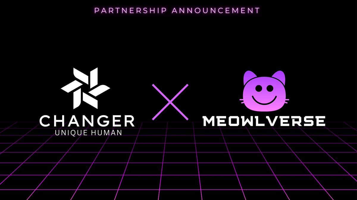 MeowlVerse tweet media