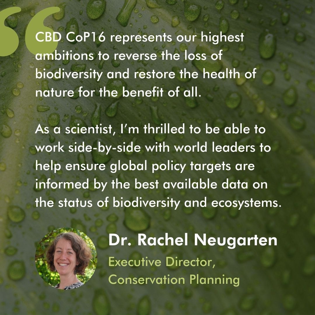 WCS (@thewcs) on Twitter photo #COP16Colombia represents our highest ambitions to address planetary crises, says WCSâs <a href="/rachelneugarten/">Rachel Neugarten @rachelneugarten.bsky.social</a>.
đšđŽ Latest from our team: wcs.org/cbd #COP16Colombia represents our highest ambitions to address planetary crises, says WCSâs <a href="/rachelneugarten/">Rachel Neugarten @rachelneugarten.bsky.social</a>.
đšđŽ Latest from our team: wcs.org/cbd