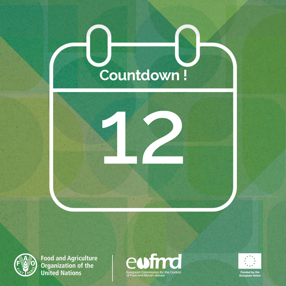 ⌛️ #OS24 ⏳

EuFMD // GFRA

Have you seen the lineup for Day 1? Update on the #FMD and #SPGP situation, virology, epidemio-surveillance, megatrends, and vaccine innovations.
And followed by a w/s on the risk monitoring tool for #FAST. 

Info here
👇
trello.com/b/MxJE1Y9a/os2…