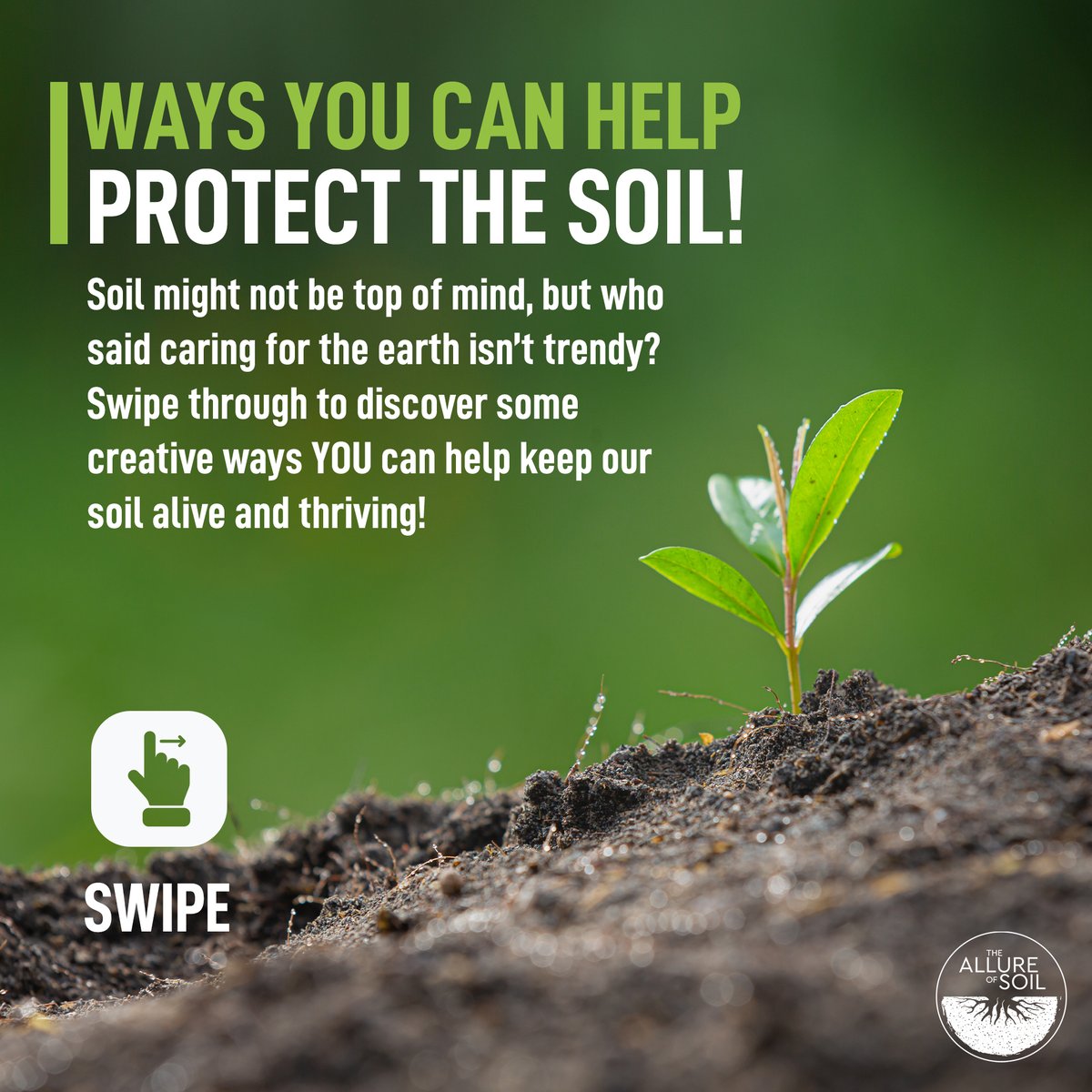 theAllureofSoil's tweet photo. Soil may not be trendingโbut saving it can be. ๐ฑfrom eating organic to planting trees, you can be a #SoilHero without breaking a sweat! ๐ท ๐ท#SaveThePlanet #EcoFriendly #SustainableLiving #SoilSustainability #EcoAwareness #EnvironmentalImpact https://t.co/VWJda17LJT
