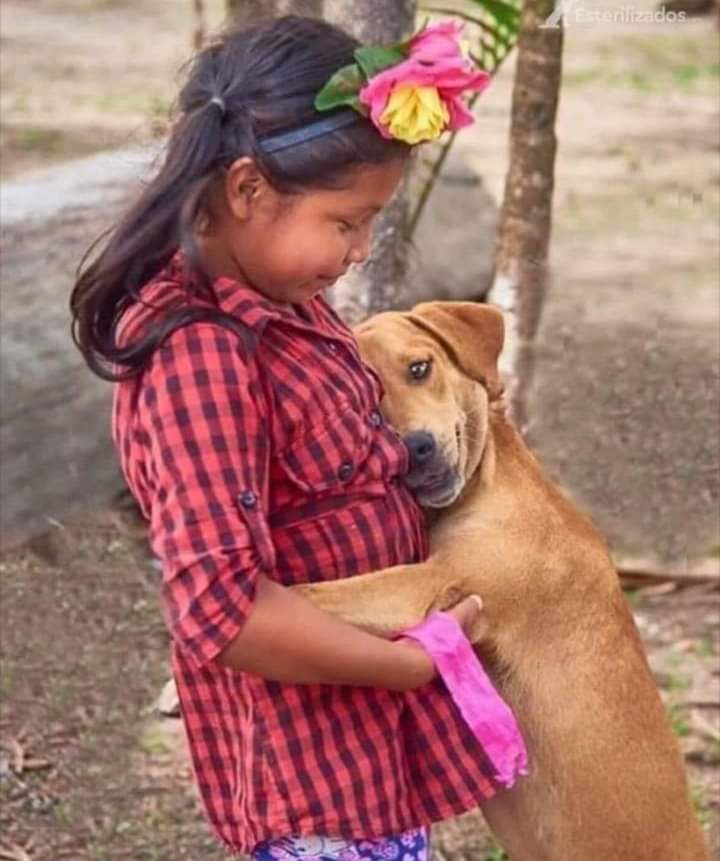 Guadalupe Ramirez tweet media