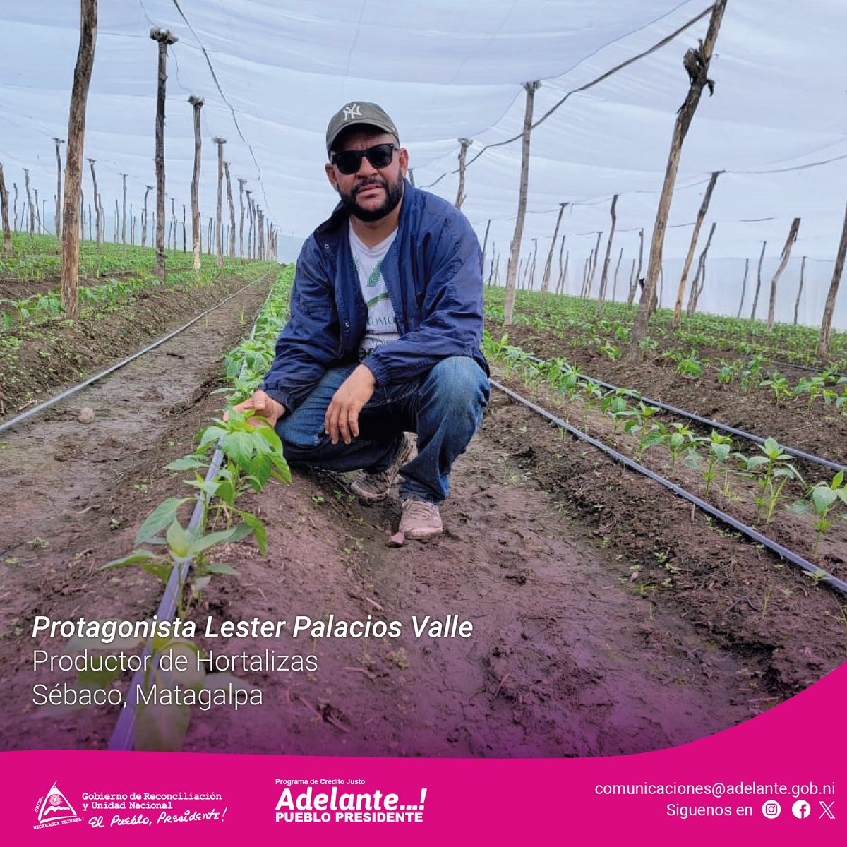 AdelanteNic's tweet photo. El protagonista Lester Palacios, aplicó su crédito otorgado por el #ProgramaAdelante para ampliar su áreas productivas con la compra de tela antivirus para tecnificar cultivos.🌱

#FSLNOctubreVictorioso #Nicaragua #JuntosVamosAdelante 🌱🔴⚫✌🇳 https://t.co/oQEpzqS9pS