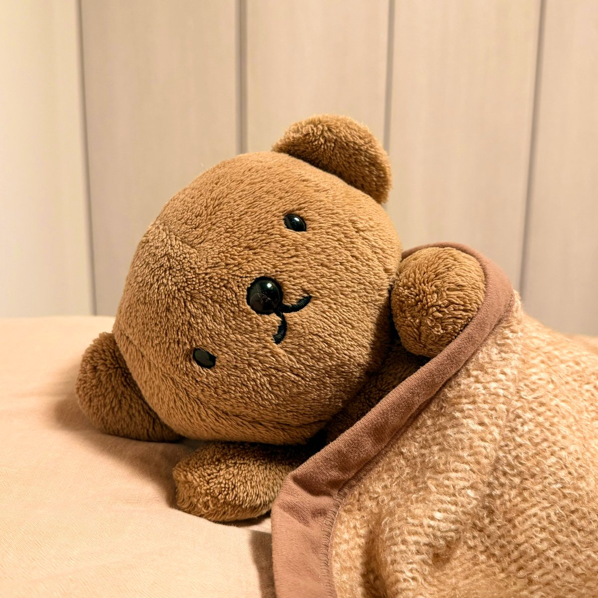 Good night( ・ᴥ・ )🌙