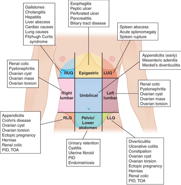 OGdukeneurosurg's tweet photo. Localizing abdominal pain and incidence below https://t.co/eWvTPLLUdv