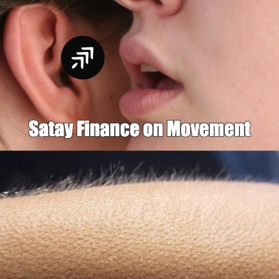 randywatson_eth's tweet photo. @satayfinance https://t.co/XhOp4VXGR7