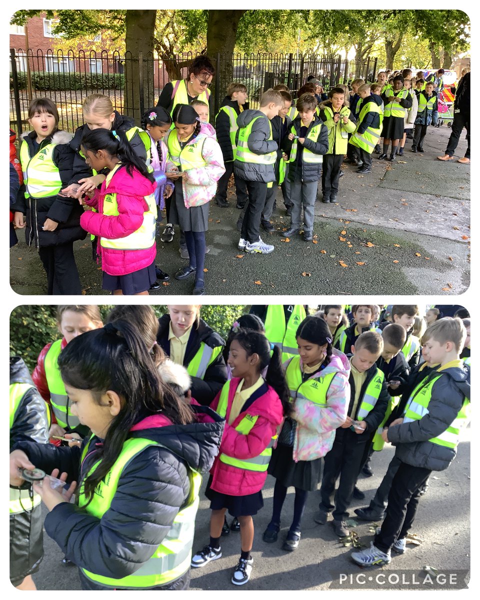 Maple Year 5 tweet media