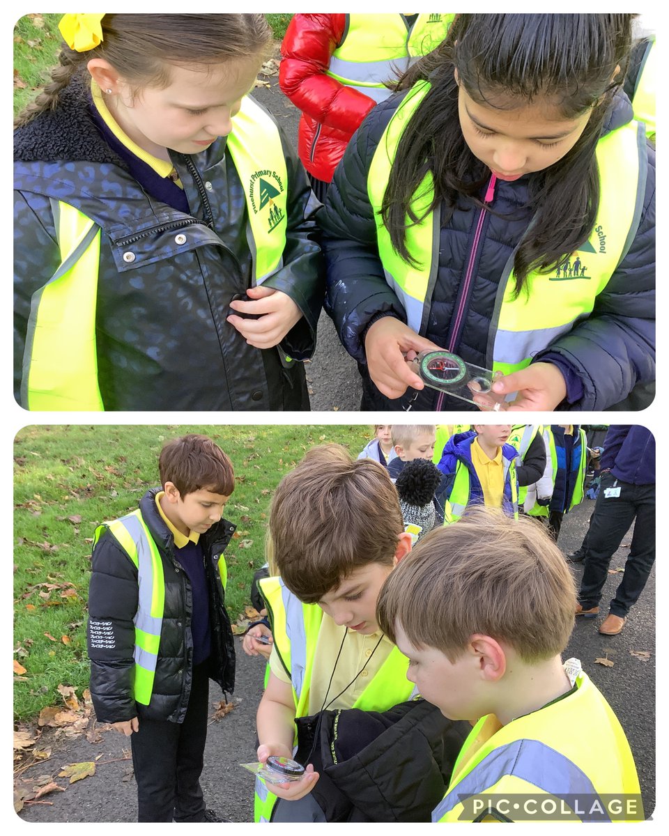 Maple Year 5 tweet media