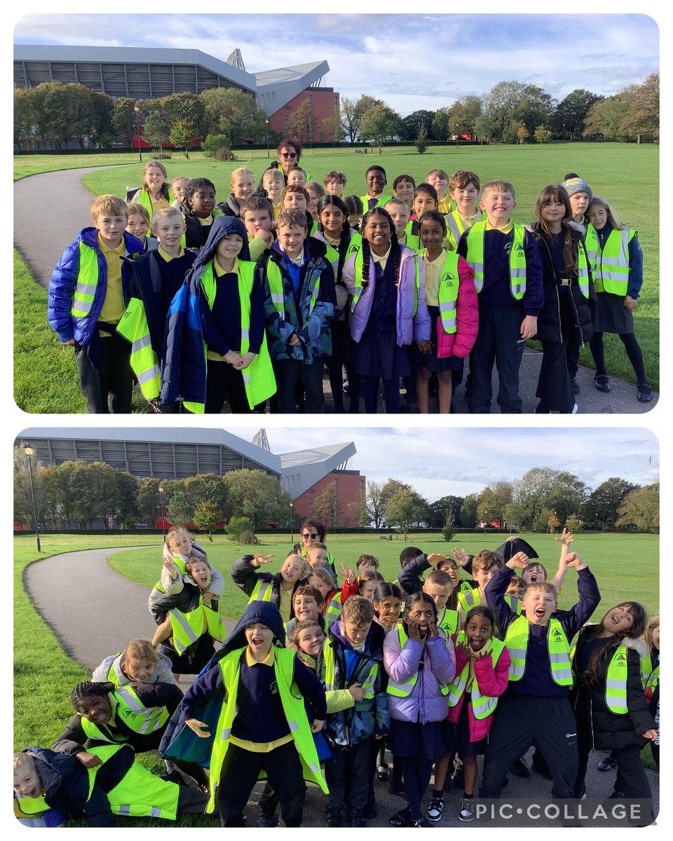 Maple Year 5 tweet media