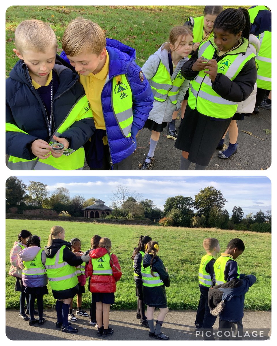 Maple Year 5 tweet media