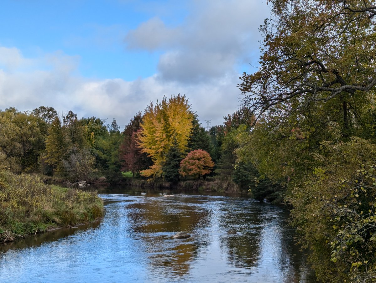 citymississauga's tweet photo. The days may be getting shorter, but the city is starting to come alive with colour 🍂🍁Mississauga’s fall colours have begun their annual display. 

Thanks to the city’s diverse tree canopy you can enjoy the colours from Mississauga’s many parks &amp; trails: https://t.co/Es822GVeSw https://t.co/y5BD6lby7I